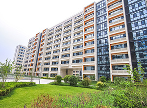 平博·(pinnacle)官方网站